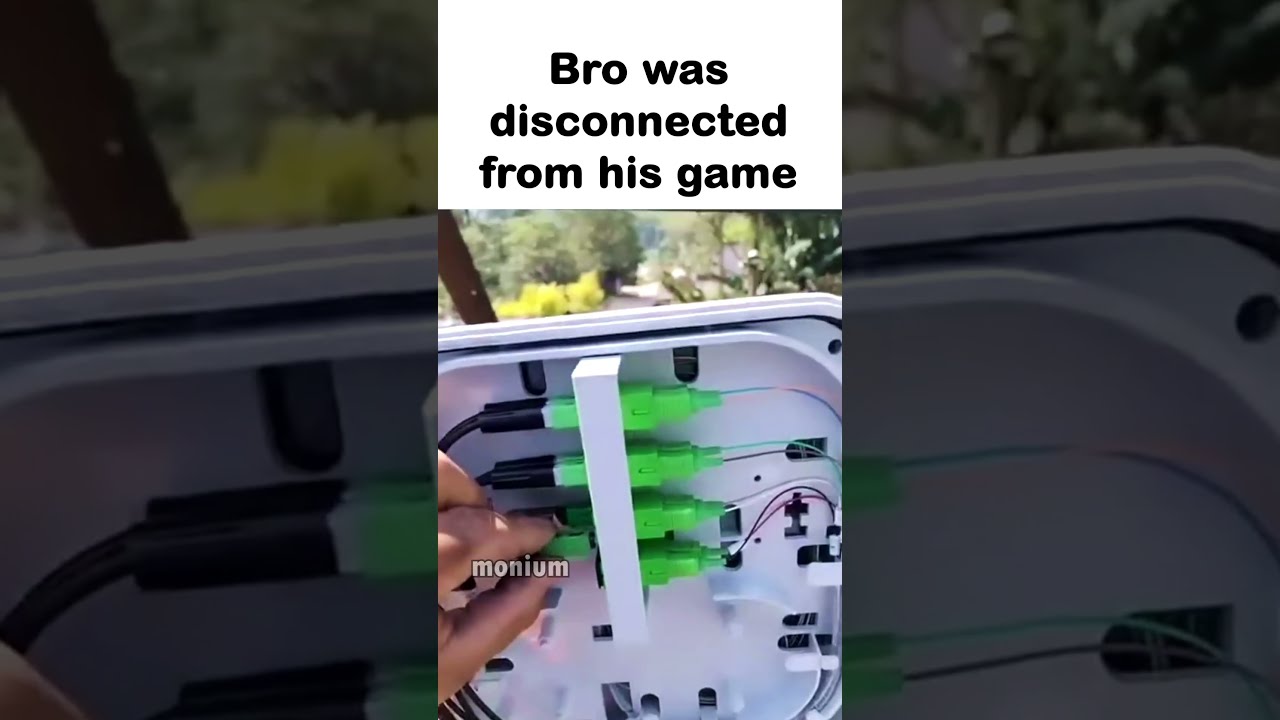 Bro Was In A Ranked Match 