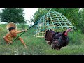 building traps for hunting turkey,Catch turkey using frames, Cooking delicious turkey