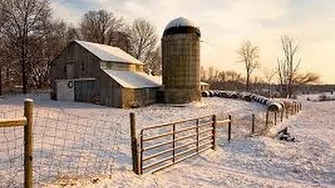 Teddy's Barn By East Coast Connection -  Fred Mars...