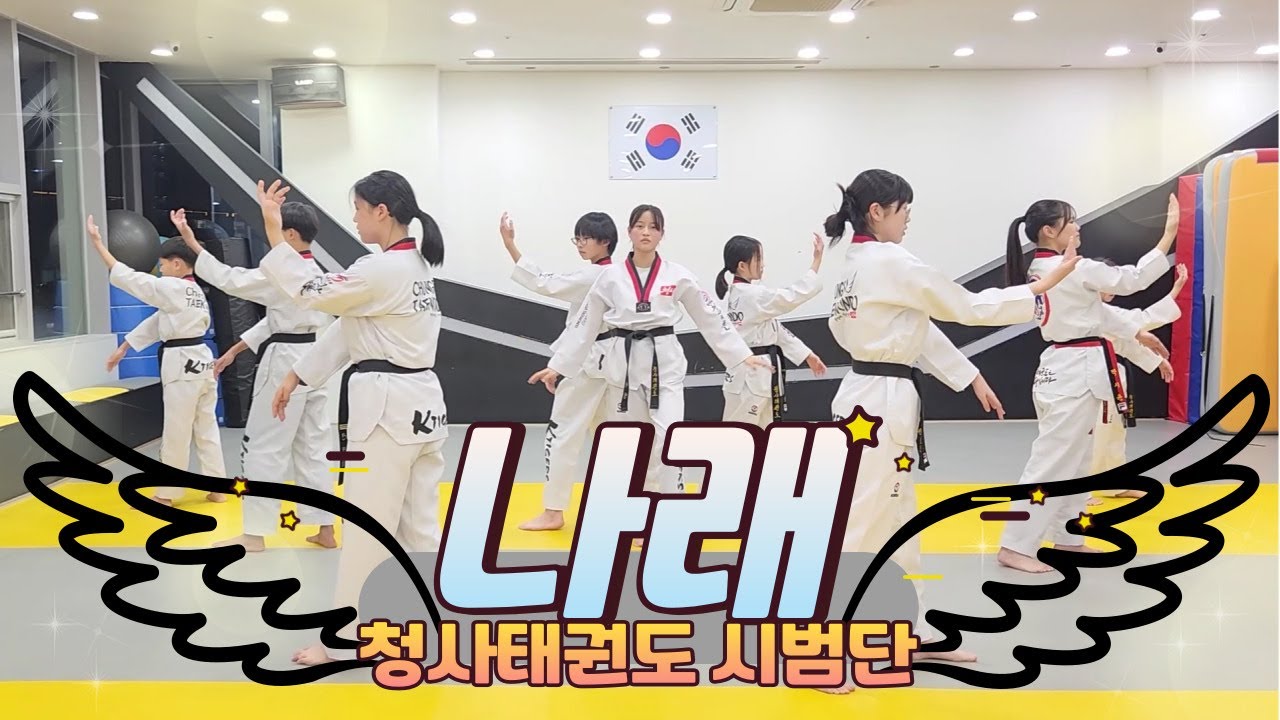 청사태권도 시범단 태권작품 