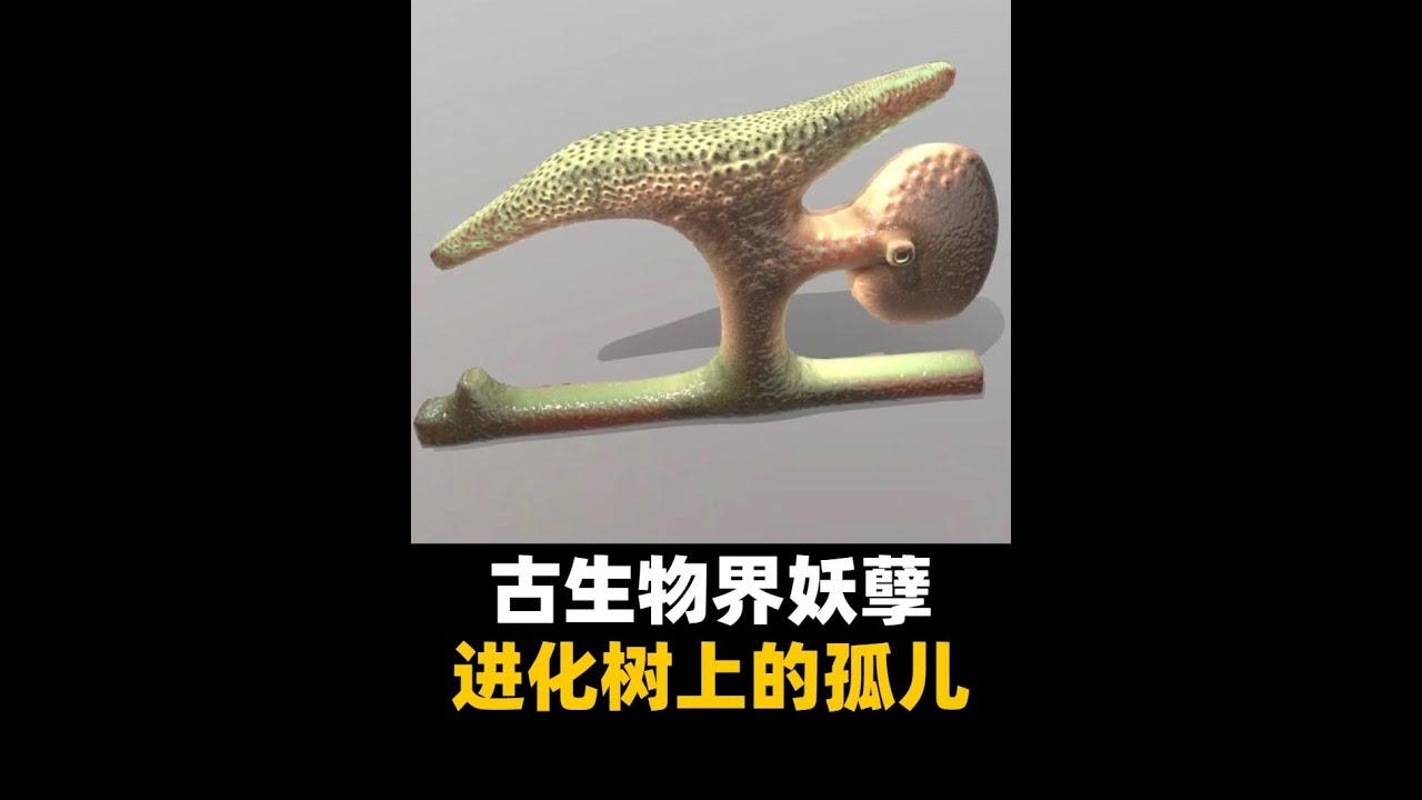比塔利怪物更离谱！有史以来发现的最奇怪的灭绝生物化石！#古生物 #化石 #生物 #科普 #科普一下 #科普知识