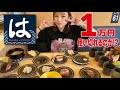 【大食いチャレンジ】はま寿司🍣で1万円使い切れるのか!?【えりちび🐿️もぐもぐ】