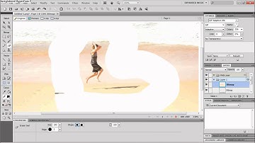 Adobe Fireworks CS5 - Tracking Tutorial