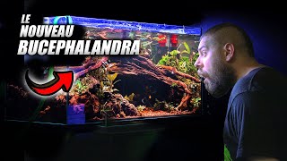 J&#39;ai fait un Nature aquarium de FOU!