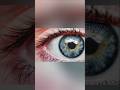 Aap sub kuch Ulta Dekhte Ho ! 👀 Eye & Brain Concept #shorts #facts