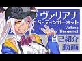 【#新人Vtuber】ヴァリアナ・S・ティンガーネットデビュー前初投稿【#自己紹介】