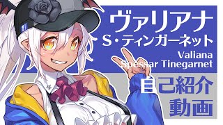 「【#新人Vtuber】ヴァリアナ・S・ティンガーネットデビュー前初投稿【#自己紹介】」のサムネイル
