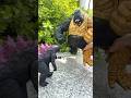 King Kong vs Godzilla | No One Touches Their Dino Friend! #toys #dinosaurs