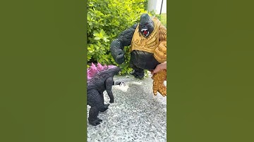 King Kong vs Godzilla | No One Touches Their Dino Friend! #toys #dinosaurs