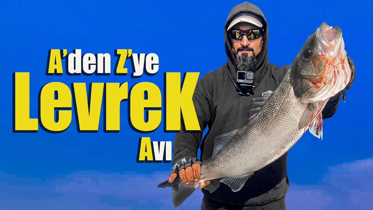 Türkiye’de LEVREK Avı | En Etkili Yöntemler, Yemler ve Hava Şartları 🎣  #seabass #levrekavı #howto