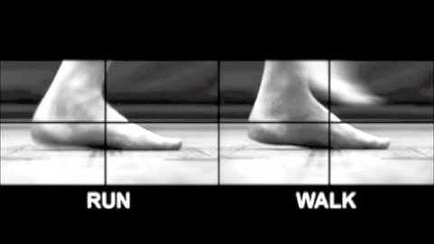 Spring Suspension System Muscles Loading in Walking and Running