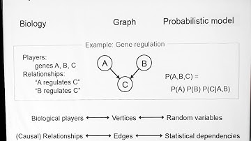 Ewa Szczurek - Introduction to probabilistic graphical models part 1