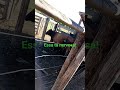 se escreva Deixe seu comentário ,de que lugar vc está assistindo, obrigado 🙏🙏🙏