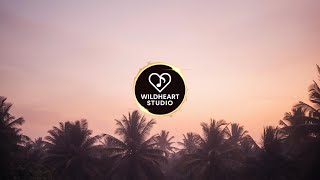 Palmfire Serenity Bloom π΄ 90 Minute Tropical Music Loop