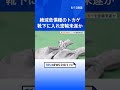 「1匹750円ほどで仕入れた」アオキノボリアリゲータートカゲを靴下の中に隠し韓国から密輸しようとしたか メキシコ国籍の男逮捕 警視庁｜TBS NEWS DIG #shorts