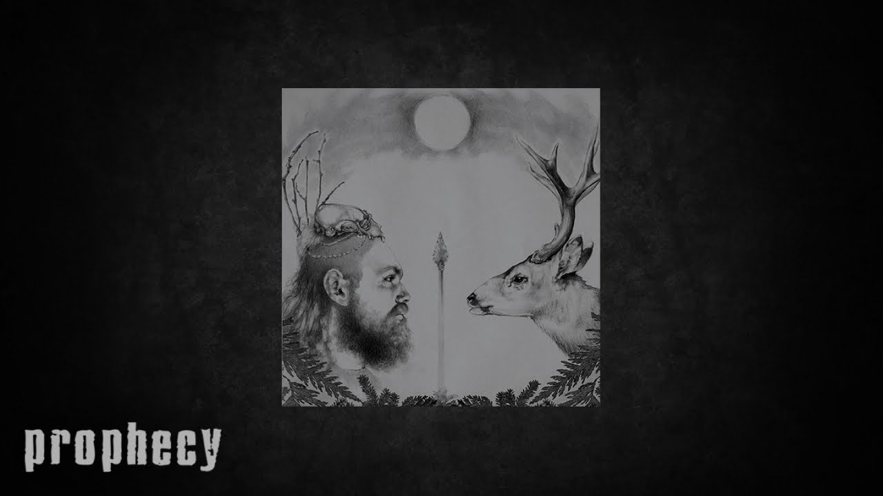 Guarda Fauna - Tracking su YouTube Guarda Fauna - Tracking su YouTube