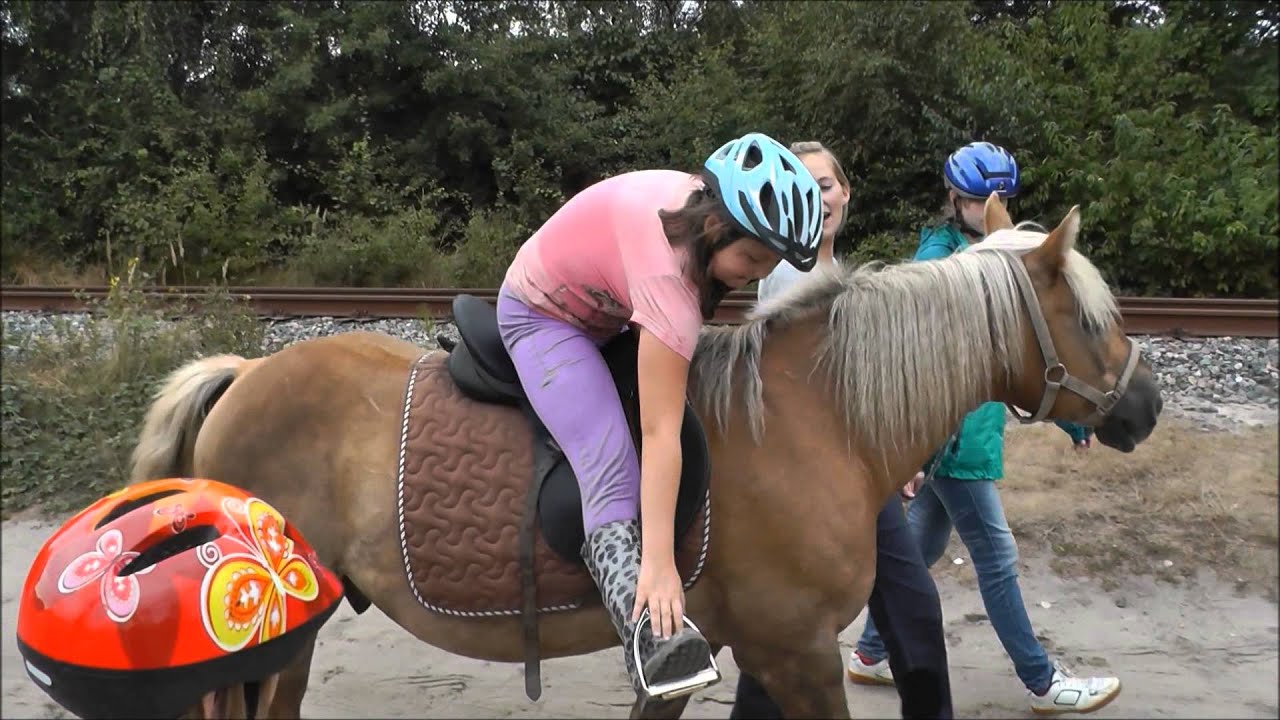 reiten tv reiten tv