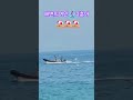 #해변의여인 #가황나훈아님 #shorts 🏄‍♀️🏄‍♀️🏄‍♀️