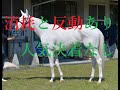 マイルチャンピオンシップ 2022 予想 ソダシ消耗と反動で大崩れ シュネルマイスター不発あり ２頭決着はない！！