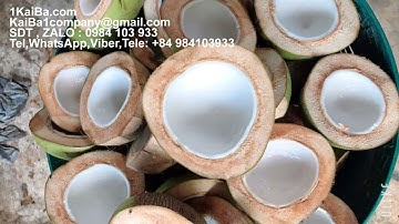 Máy cắt trái dừa tươi còn nguyên vỏ