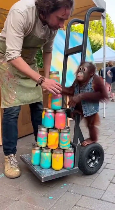 BUDI vs. the Mason Jar Pyramid