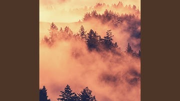 Modish Backdrops for Fall Adventures