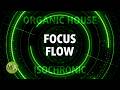 Enter A Focus Flow Mental State Organic House Mix Isochronic Tones