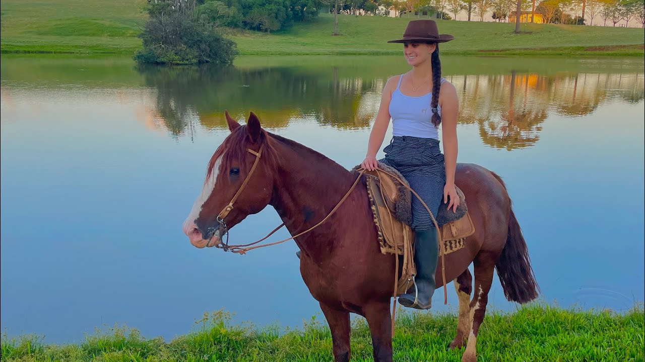 Lida com as Éguas e Doma do Vaqueano