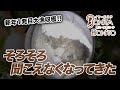 #耳掃除 新年1発目大漁収穫!!そろそろ聞こえなくなってきた。。。