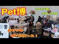 ペット博 2025
