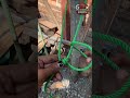 Very easy knot #Knots #KnotTying #RopeSkills #KnotHacks #UsefulKnots