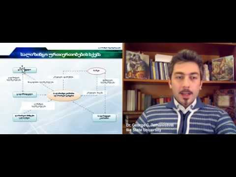 ლიზინგი (2). გ. თუმანიშვილი. G. Tumanishvili. Leasing (part 2)