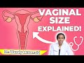 How Big Should A Vagina Be? I Anatomy and What's Normal | Dr. Wendy McDonald