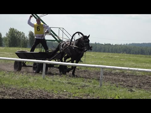 Сабантуй славен спортивными состязаниями