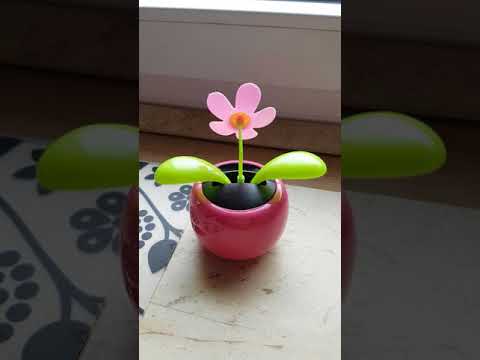 20171027 142214