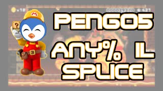 Any% Best Possible Run (Pengo5 ILs)
