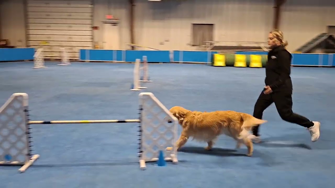 Global meetup challenge, Valentine sequence 