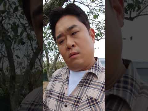*끌올영상* 치어리더뚱 잊지 않았죠? [시켜서 한다! 오늘부터 댄스뚱]