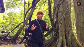 Download Lagu 5 Februari 2026 MP3