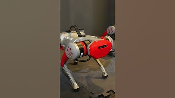 Watch how our Quadruped Robot & Cobot own the trend.