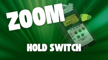 What does the Hold Switch do on the Zoom H4n?