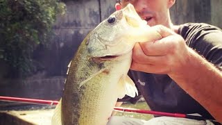 Fishing lake Lemon for bass