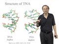 Jack Szostak (Harvard/HHMI) Part 3: Non-enzymatic Copying of Nucleic Acid Templates