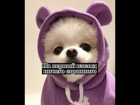 Странные фотографии #рофл - YouTube