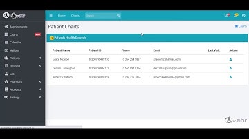 Adding an Electronic Medical Record to AnEHR - Patient Timeline - #EHR #EMR
