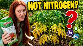 Before You Add Fertilizer, Watch This