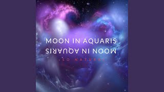Interlude - Reflection of Moon and Light
