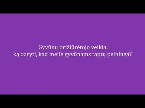 Video: Armatūra yra Profesijos ir pareigų aprašymas