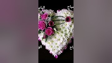 #سورة_الكهف #اكسبلور #تيك_توك #صباح_الخير #دويتو #لايك #محمد_رفعت