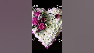 #سورة_الكهف #اكسبلور #تيك_توك #صباح_الخير #دويتو #لايك #محمد_رفعت